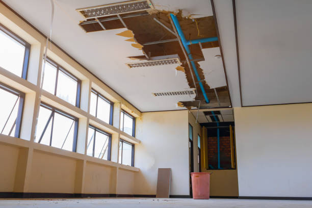 Best Carpet water damage restoration  in Sacaton, AZ