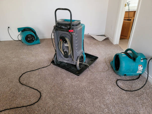 Best Carpet water damage restoration  in Sacaton, AZ