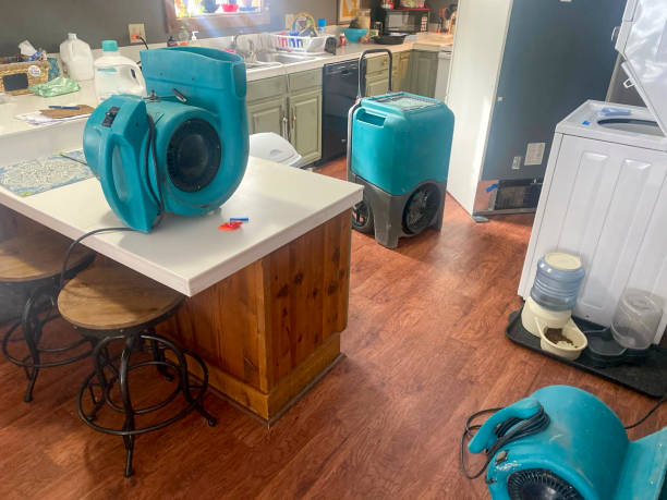 Best Local water damage restoration  in Sacaton, AZ