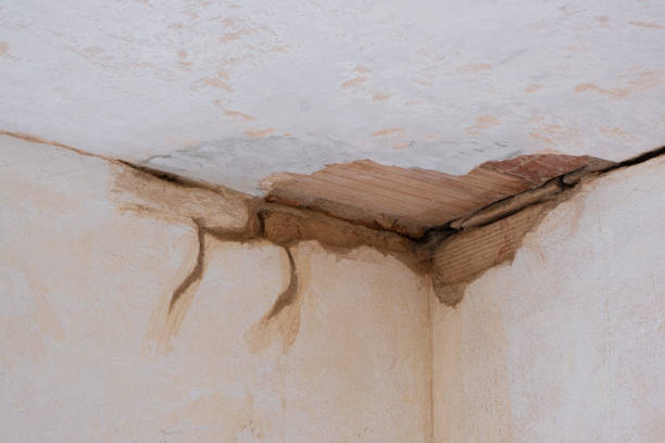 Best Mold removal after water damage  in Sacaton, AZ