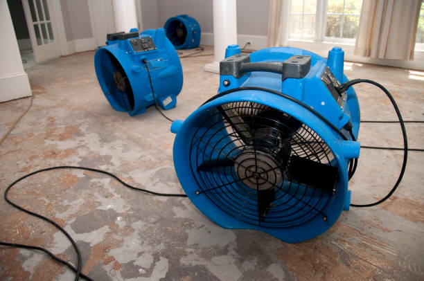 Reliable Sacaton, AZ Water damage restoration Solutions