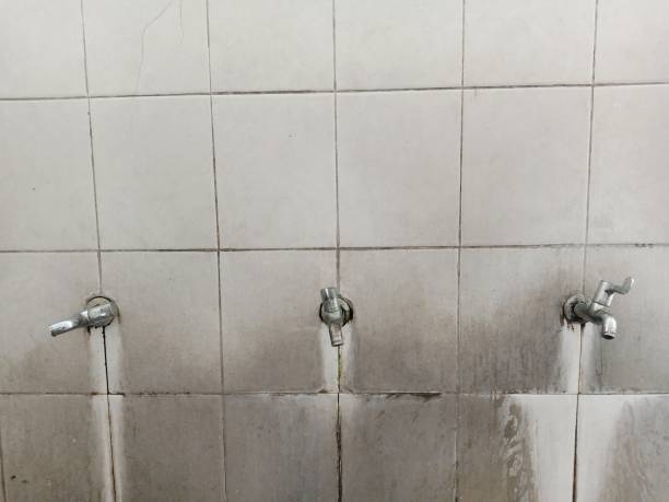 Best 24-hour water damage restoration  in Sacaton, AZ