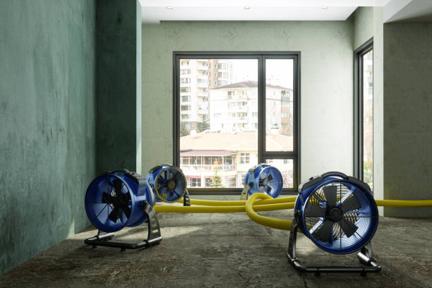 Best Emergency water damage restoration  in Sacaton, AZ